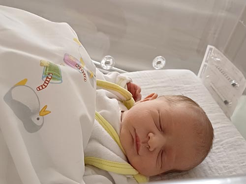 Charlotte Theresia Jungreithmair