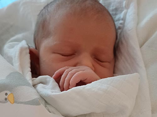 Charlotte Theresia Jungreithmair